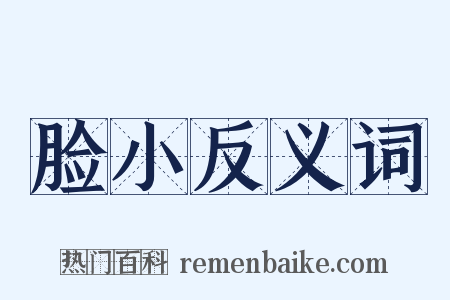 脸小反义词是什么意思的图片